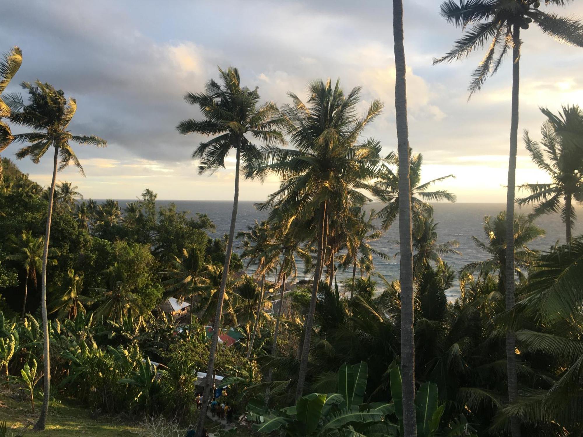 Liberty'S Lodge And Diving - Apo Island Dumaguete City Bagian luar foto