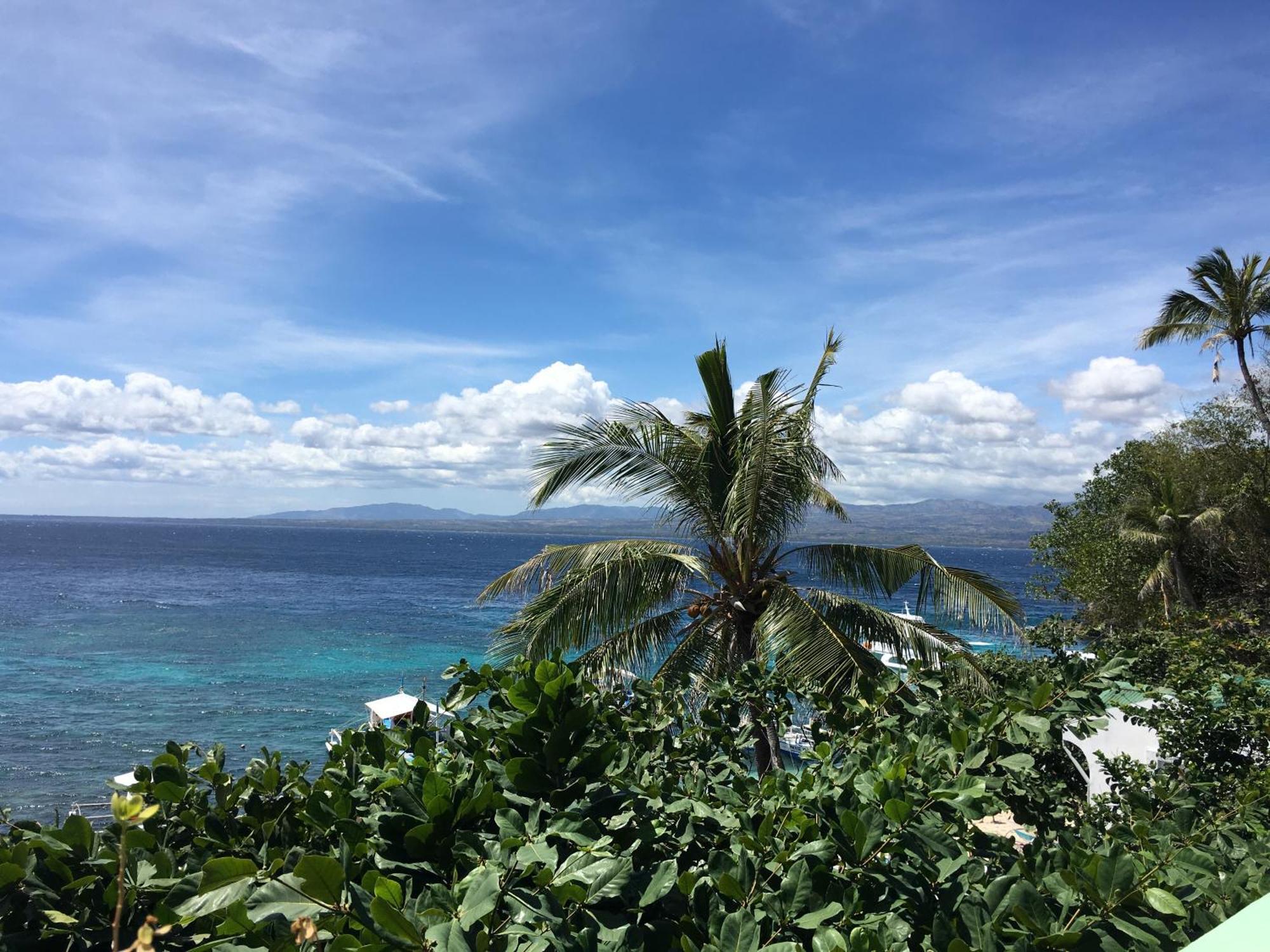Liberty'S Lodge And Diving - Apo Island Dumaguete City Bagian luar foto